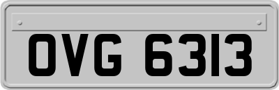 OVG6313