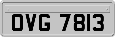 OVG7813