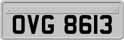 OVG8613