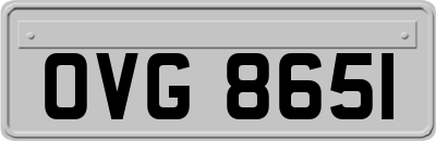 OVG8651