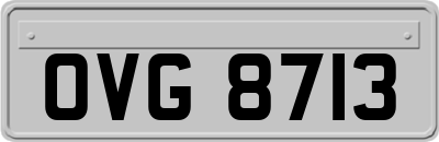 OVG8713