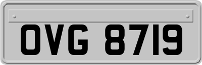 OVG8719