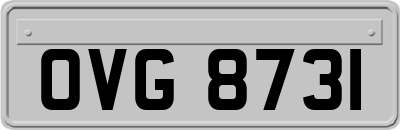 OVG8731