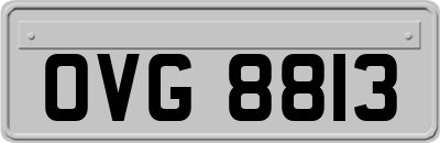 OVG8813