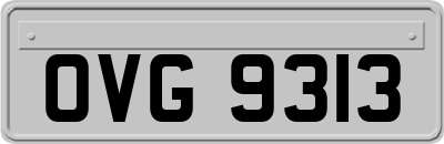 OVG9313