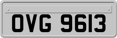 OVG9613