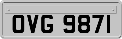 OVG9871