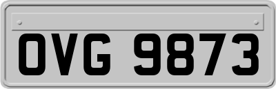 OVG9873