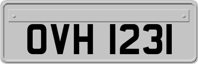 OVH1231