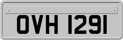 OVH1291