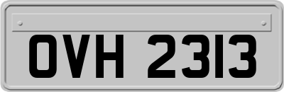 OVH2313