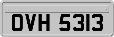 OVH5313
