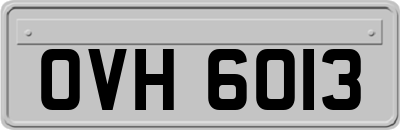 OVH6013