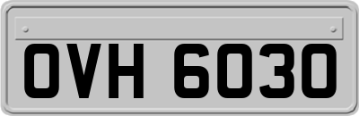 OVH6030