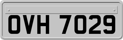 OVH7029