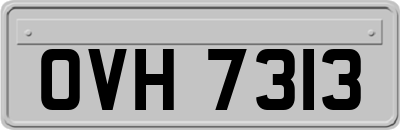 OVH7313