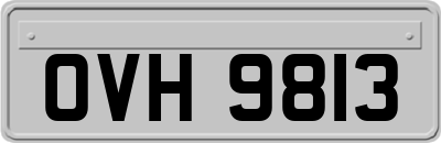 OVH9813
