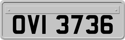 OVI3736