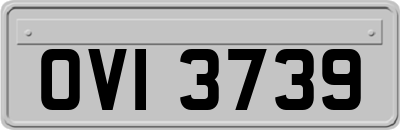 OVI3739