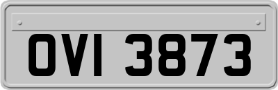OVI3873
