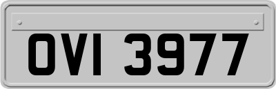 OVI3977