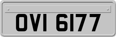 OVI6177