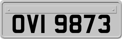 OVI9873