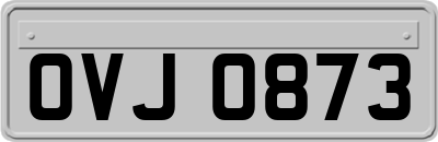 OVJ0873