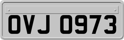 OVJ0973