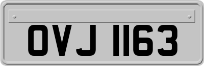 OVJ1163