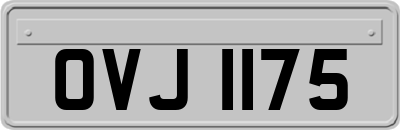 OVJ1175