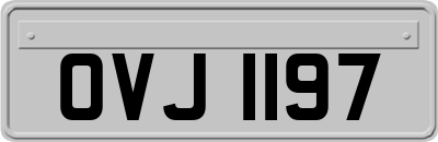 OVJ1197