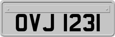 OVJ1231