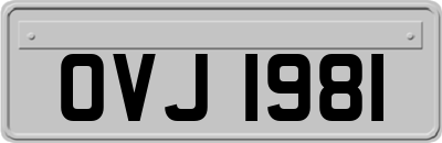 OVJ1981