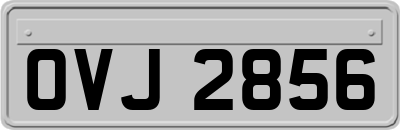 OVJ2856
