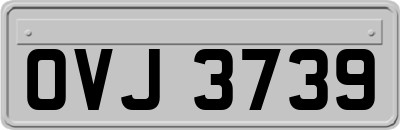 OVJ3739