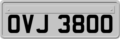 OVJ3800