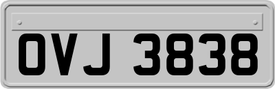 OVJ3838