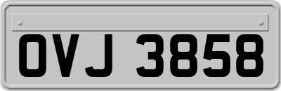 OVJ3858