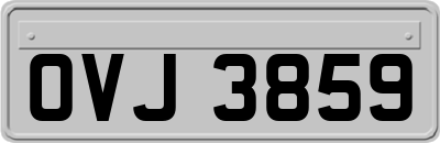 OVJ3859