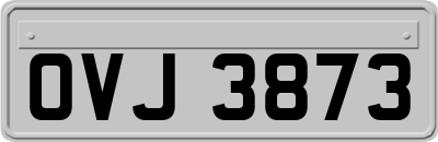 OVJ3873