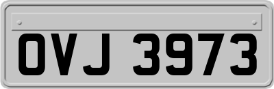 OVJ3973