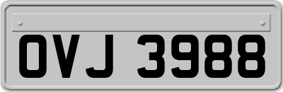 OVJ3988