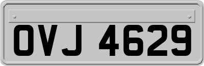 OVJ4629