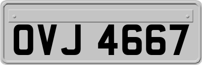 OVJ4667