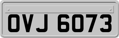 OVJ6073