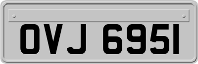 OVJ6951