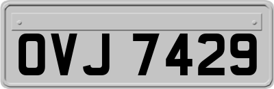 OVJ7429