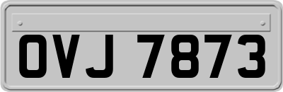 OVJ7873