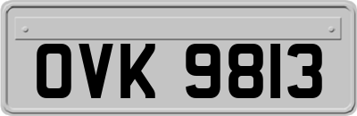 OVK9813